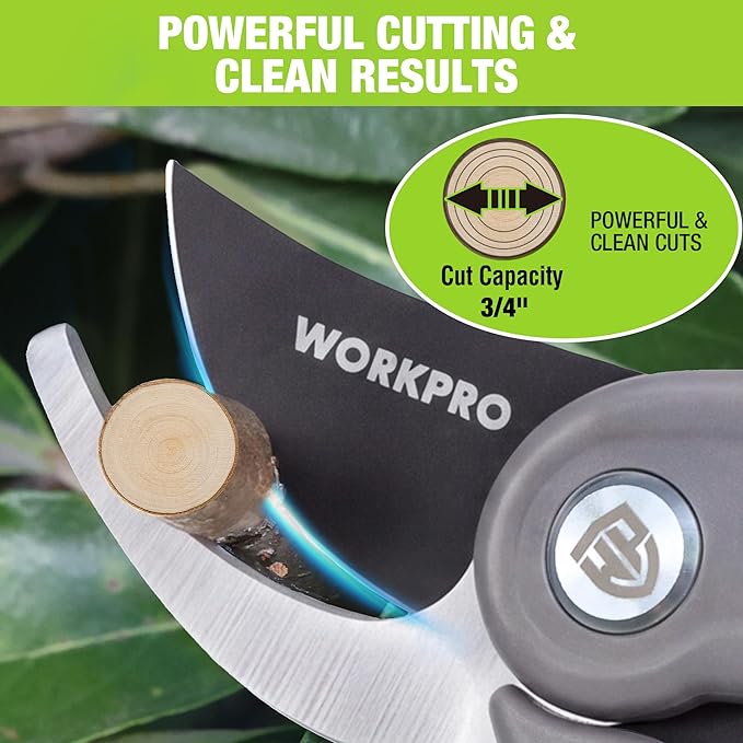 WORKPRO Bypass Pruning Shears for Gardening, 8" Garden Scissors with Dual-Size Opening for Thin & Thick Branches, Garden Clippers with Sharp SK5 Steel Blades for Pruning, Cutting and Fruit Picking